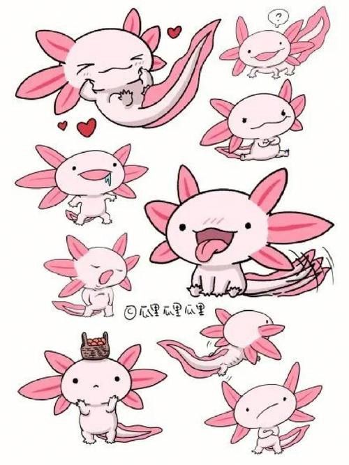 恐龍魚的圖片大全簡筆畫