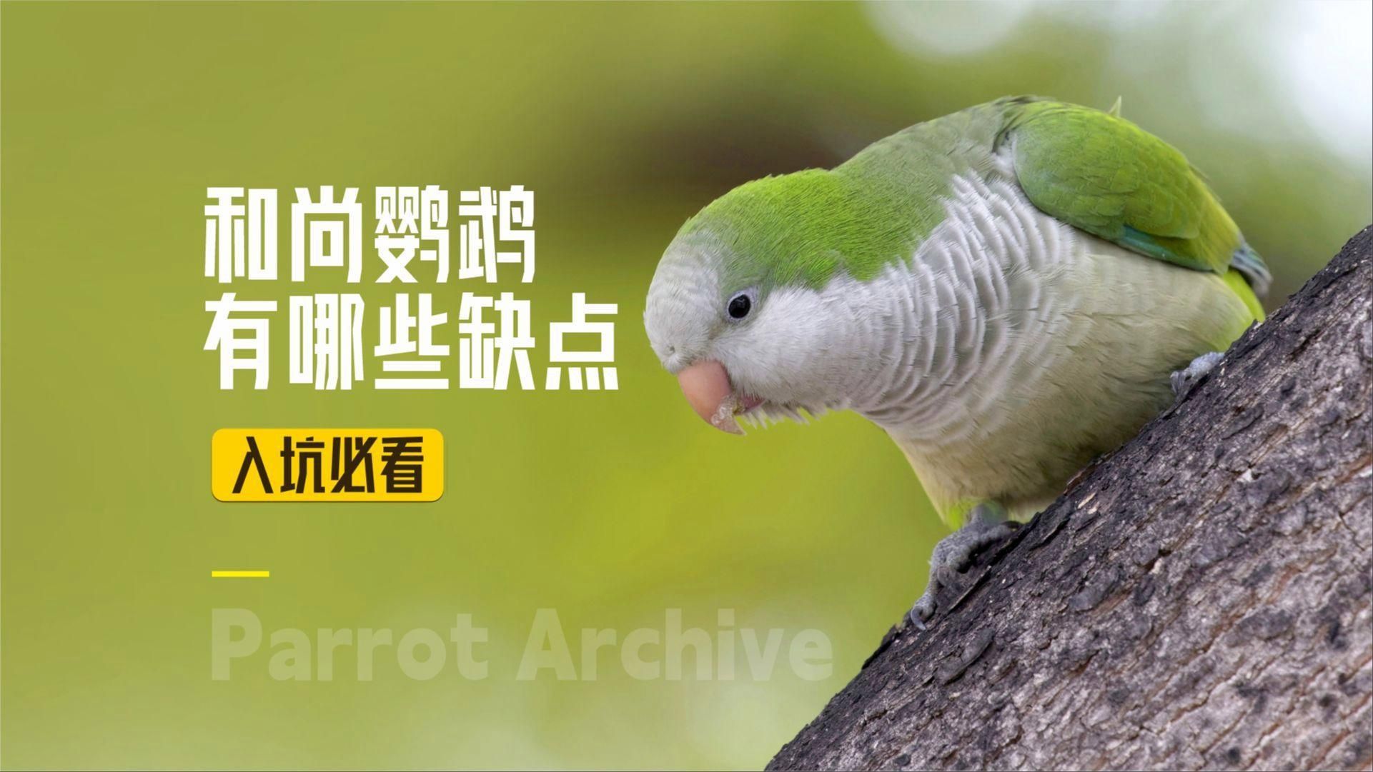 藍和尚最不建議養的原因