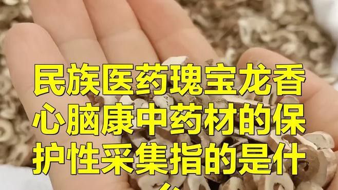 瑰寶龍和泗水超血王的價(jià)格是多少？