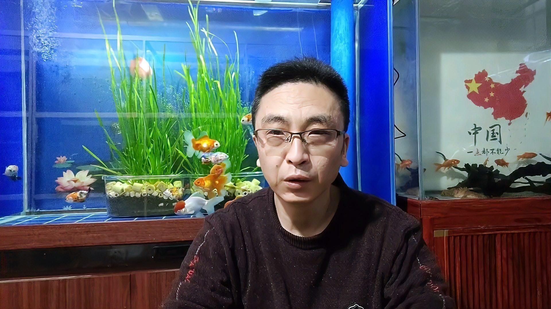 蝴蝶鯉能和龍魚一起養(yǎng)嗎怎么養(yǎng)活