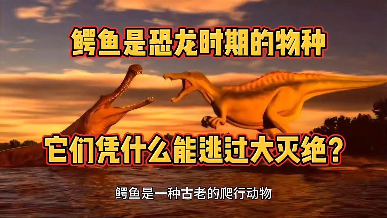 鱷魚和恐龍有哪些共同特征？