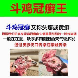 龍魚真菌感染怎么治療的：龍魚真菌感染的治療方式