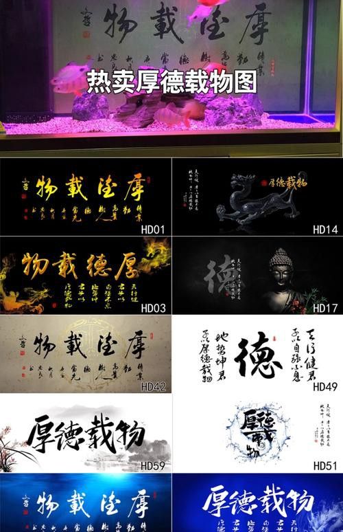 給我推薦一些高清的紅龍魚壁紙