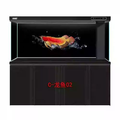 給我推薦一些高清的紅龍魚壁紙
