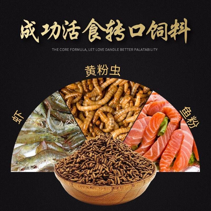 龍魚(yú)喂食：龍魚(yú)喂食習(xí)性、喂食原則及日常管理方法，龍魚(yú)喂食原則