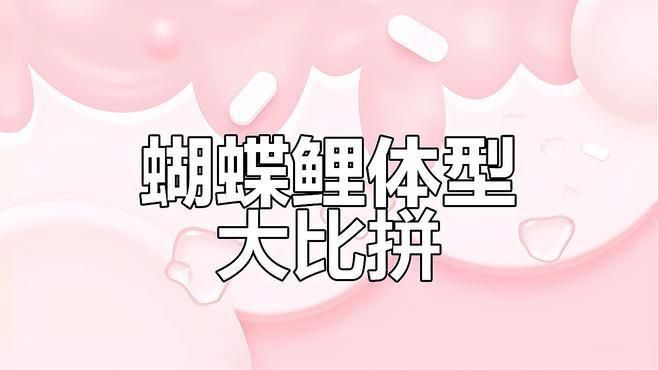 哪種蝴蝶鯉養大了最好看