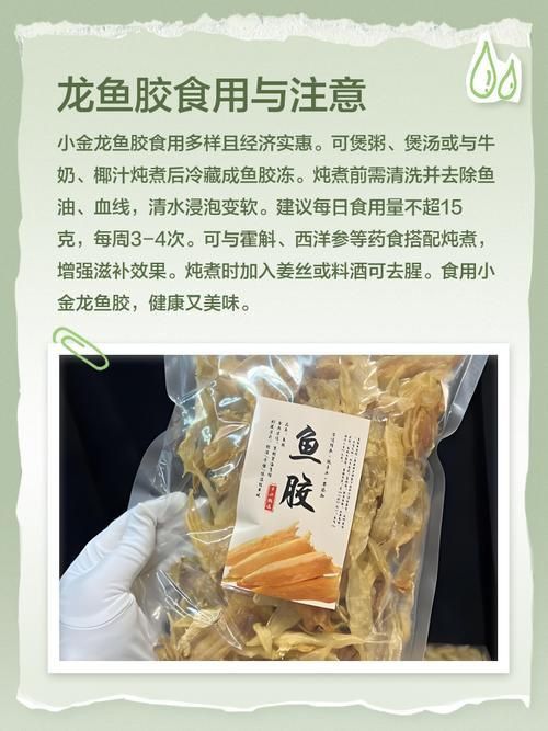 小金龍魚膠圖片