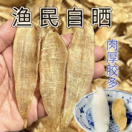 小金龍魚膠圖片