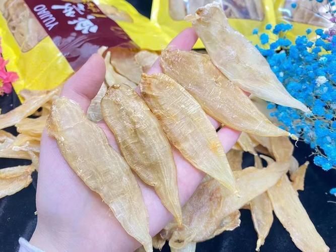 小金龍魚膠圖片
