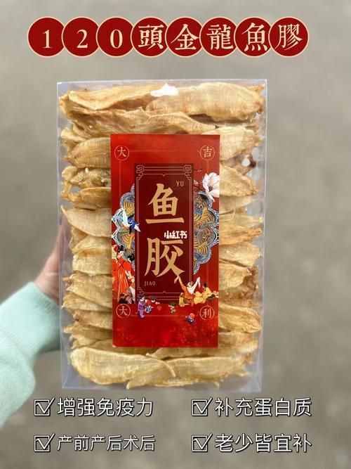 小金龍魚膠圖片