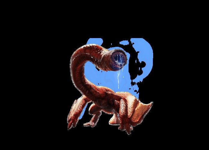 紅龍魚如何挑選品種圖解大全 紅龍魚如何挑選品種圖解大全 龍魚百科 第20張
