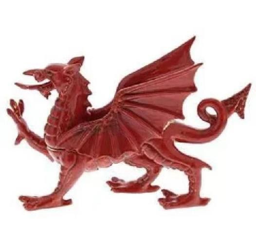 紅龍魚如何挑選品種圖解大全 紅龍魚如何挑選品種圖解大全 龍魚百科 第26張