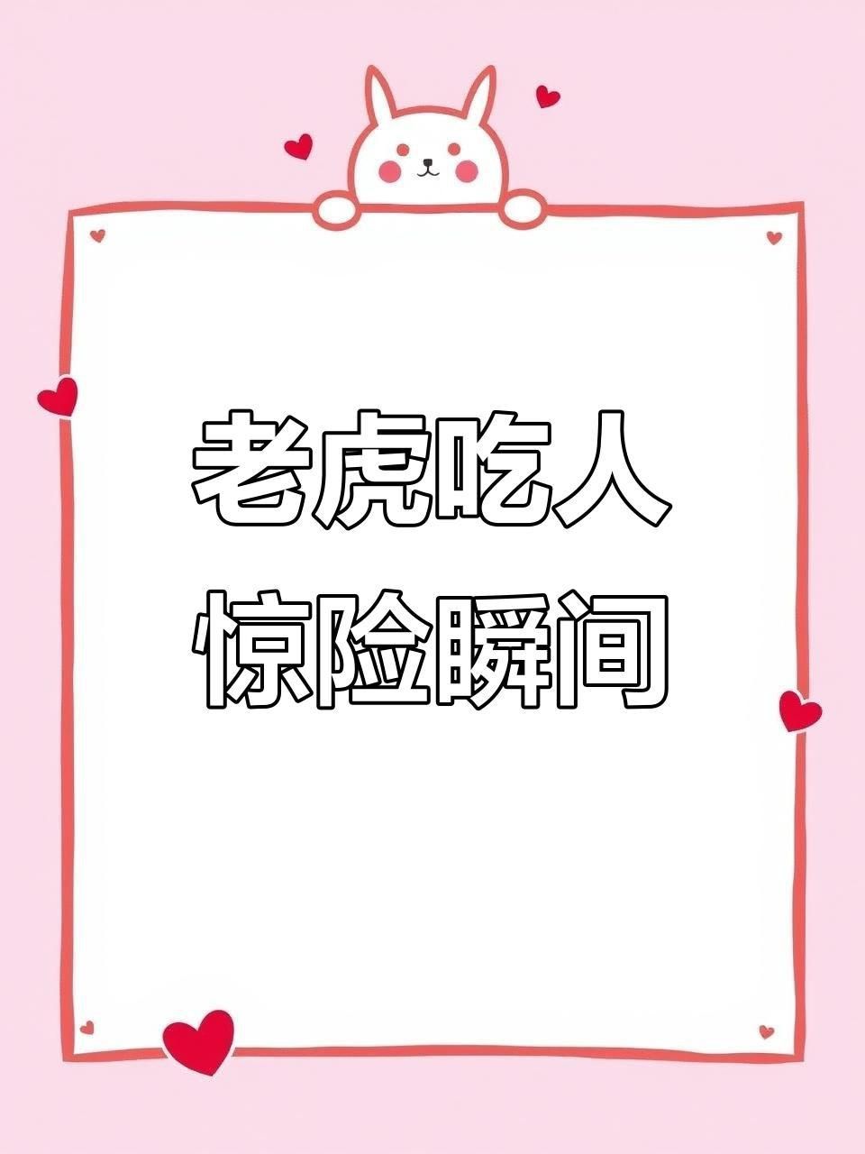 老虎吃人視頻全程播放