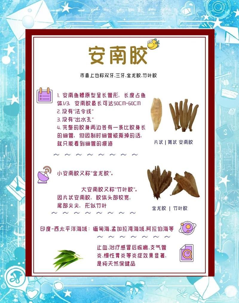 如何識別金龍魚膠