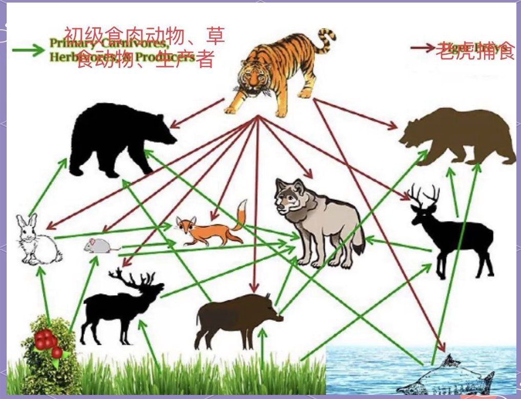 老虎餓急了會吃素嗎