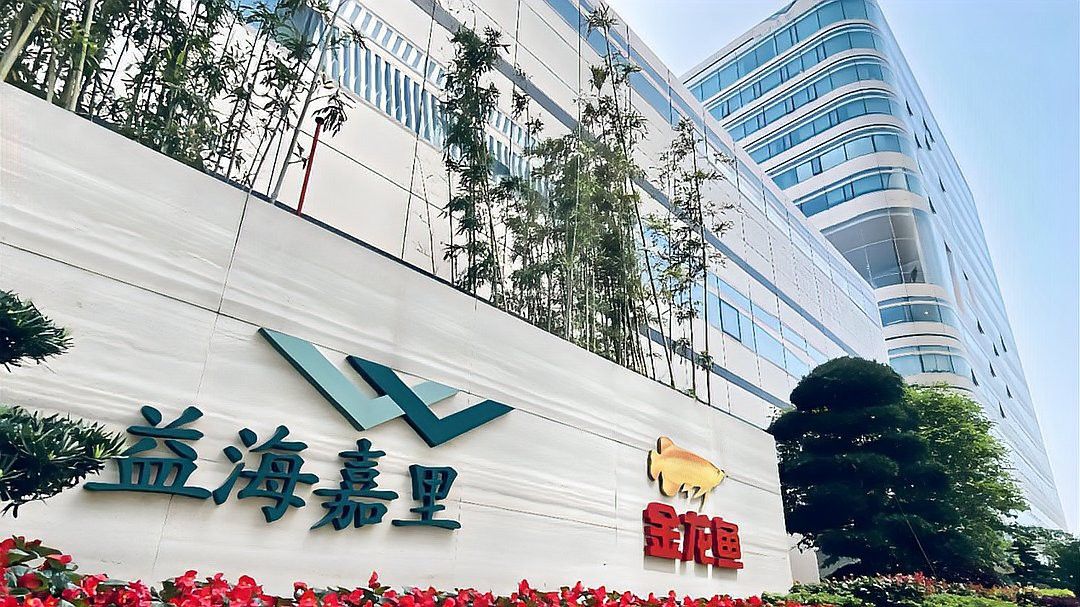 金龍魚是上海的嗎是真的嗎