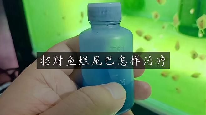 招財龍魚生病了應(yīng)該如何治療？ 招財龍魚生病了應(yīng)該如何治療？ 龍魚百科 第2張