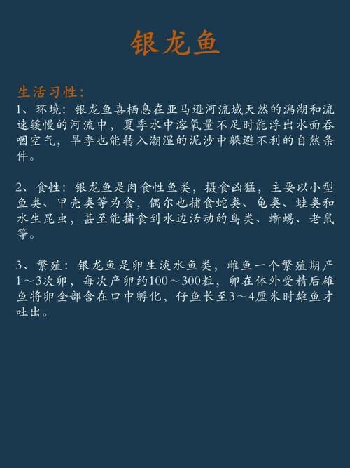 最便宜的銀龍魚多少錢一條圖片