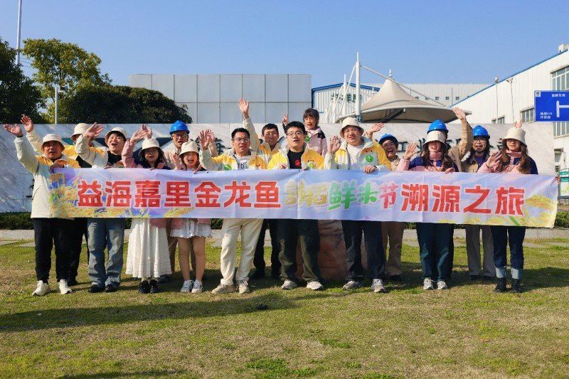 金龍魚絲苗米產地是哪里 金龍魚絲苗米產地是哪里 龍魚百科 第3張