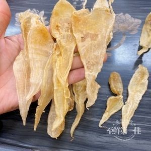 金龍魚(yú)膠是野生的嗎：金龍魚(yú)膠是否為野生，從以下幾個(gè)方面進(jìn)行探討金龍魚(yú)膠