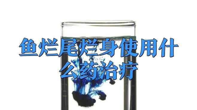 魚爛身爛尾用什么藥治療