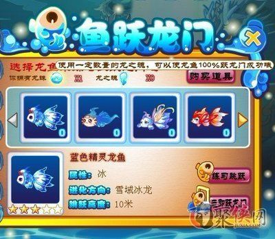 金龍魚蒙眼病怎么治療：金龍魚得了蒙眼病怎么辦？詳細治療指南與預防措施