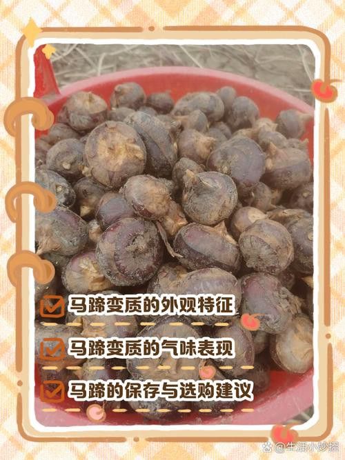 紅龍魚馬蹄印圖解