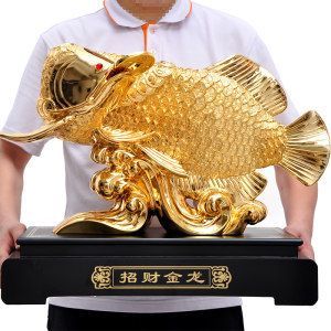 40公分長的金龍魚多少錢：金龍魚價格大揭秘,貴價金龍魚怎么飼養呢?