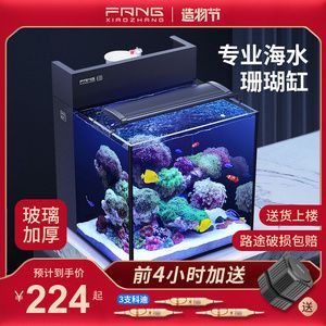 背濾魚缸適合養雷龍魚嗎：背濾魚缸可以養雷龍魚嗎 背濾魚缸適合養雷龍魚嗎：背濾魚缸可以養雷龍魚嗎 龍魚百科 第3張