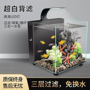 背濾魚缸適合養雷龍魚嗎：背濾魚缸可以養雷龍魚嗎 背濾魚缸適合養雷龍魚嗎：背濾魚缸可以養雷龍魚嗎 龍魚百科 第4張