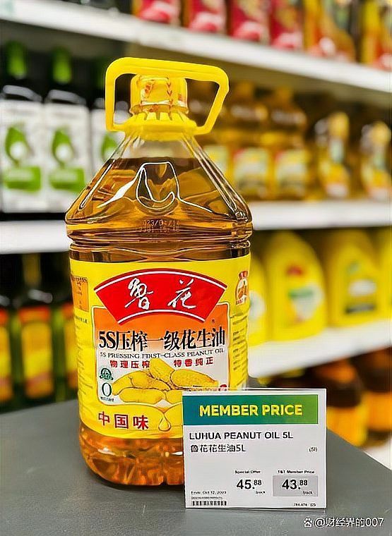 金龍魚投資有哪些成功案例？