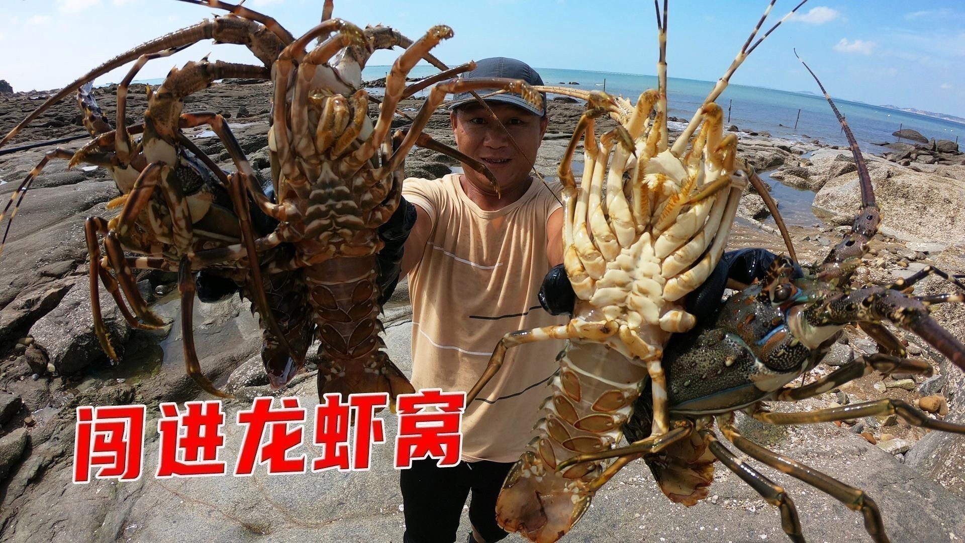 豬龍魚怎么打窩