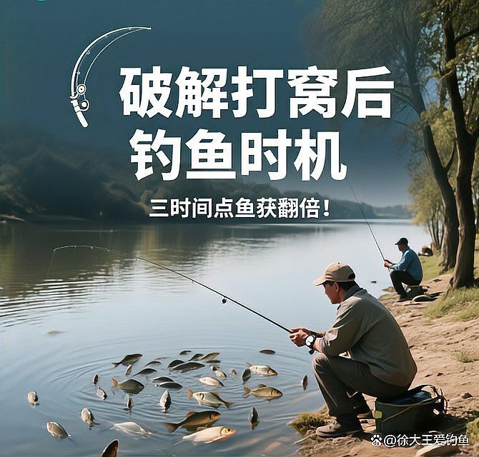 豬龍魚怎么打窩