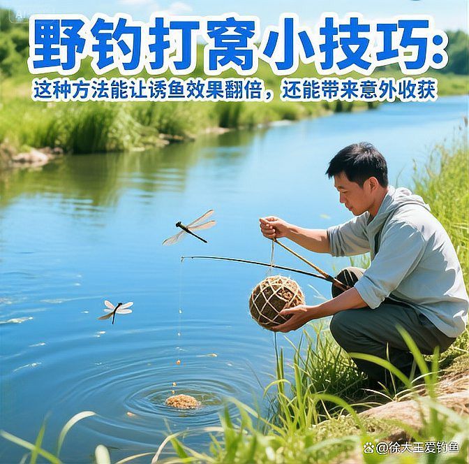 豬龍魚怎么打窩