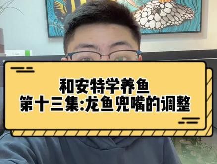 龍魚的養護和管理技術：養龍魚的注意事項