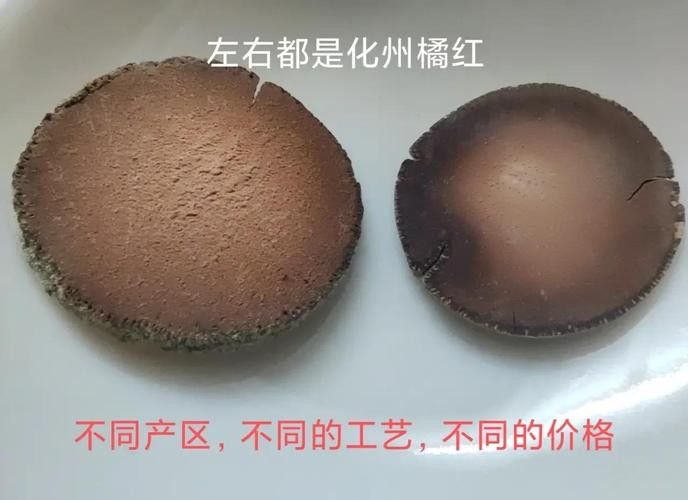 紅龍魚排行榜圖片大全高清視頻