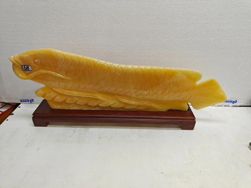 玉金龍魚圖片大全欣賞 玉金龍魚圖片大全欣賞 龍魚百科 第5張