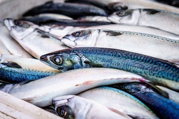 鞍山龍魚魚廠怎么樣啊（鞍山龍魚魚廠具體信息和評價如下：鞍山龍魚魚廠用戶評價）