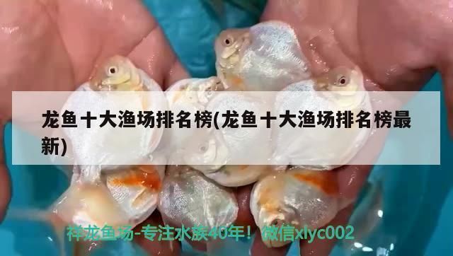 龍魚哪個漁場的最好：全球知名的龍魚漁場及其詳細(xì)信息，龍魚保險服務(wù)內(nèi)容介紹