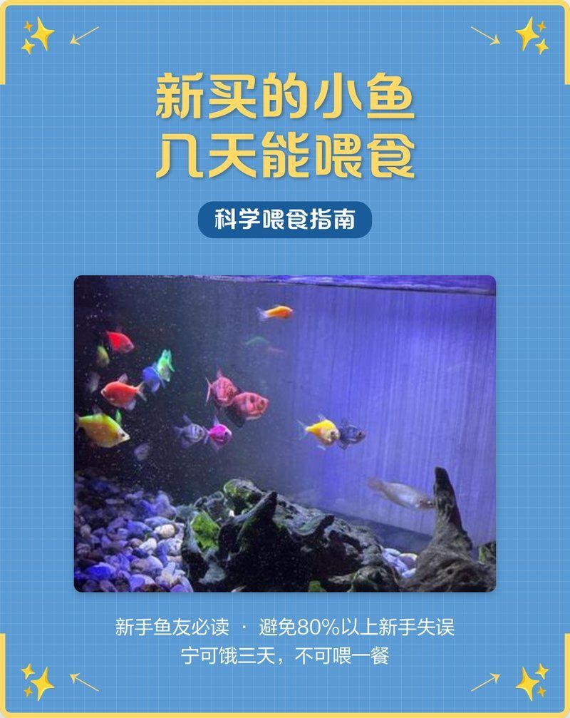 魚浮頭后需要多久才能喂食？ 魚浮頭后需要多久才能喂食？ 龍魚百科 第1張