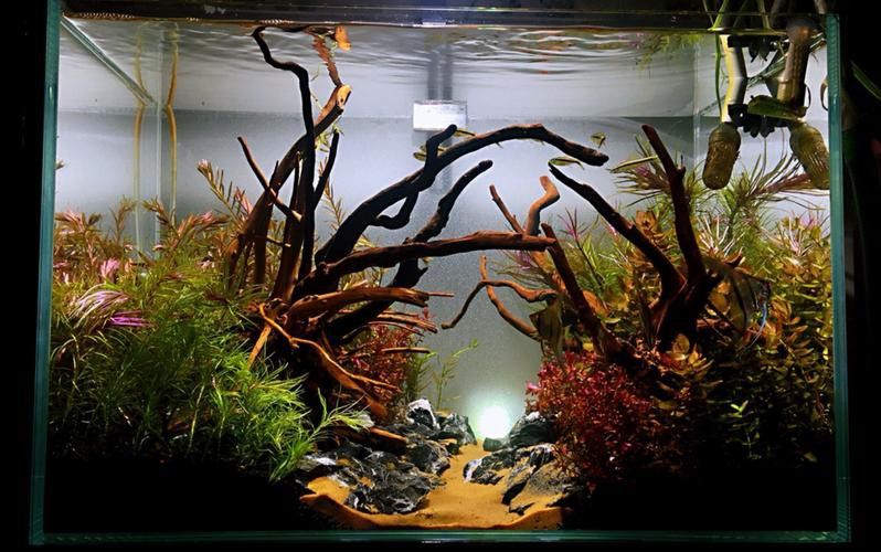 大型龍魚缸造景圖片高清