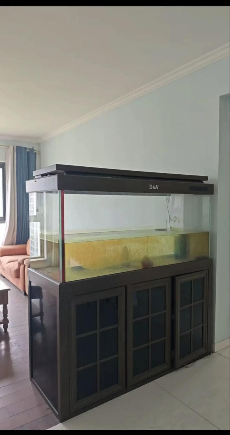 大型龍魚缸造景圖片高清