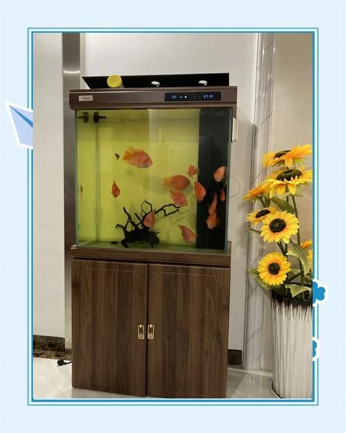 大型龍魚缸造景圖片高清
