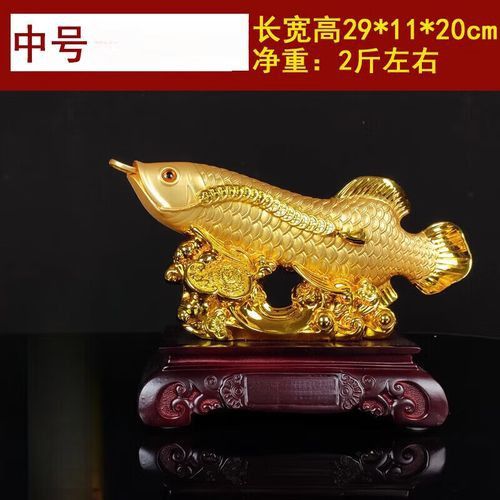 金色金龍魚(yú)多少錢(qián) 金色金龍魚(yú)多少錢(qián) 龍魚(yú)百科 第10張