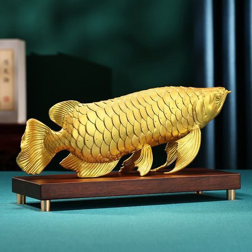金色金龍魚(yú)多少錢(qián) 金色金龍魚(yú)多少錢(qián) 龍魚(yú)百科 第11張