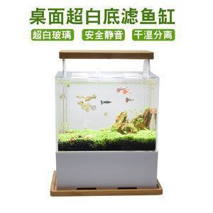 龍魚缸換背景對魚有影響嗎：龍魚缸換背景對魚有影響，龍魚缸換背景對魚有影響嗎 龍魚缸換背景對魚有影響嗎：龍魚缸換背景對魚有影響，龍魚缸換背景對魚有影響嗎 龍魚百科 第1張
