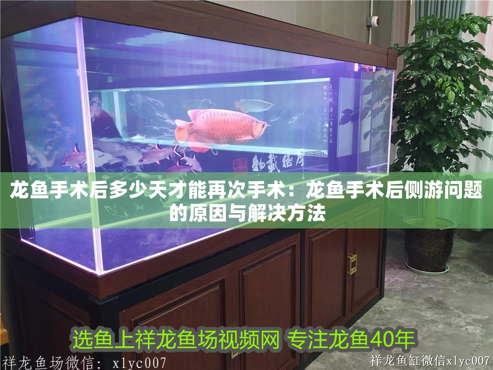 龍魚手術后多少天才能再次手術：龍魚手術后側游問題的原因與解決方法