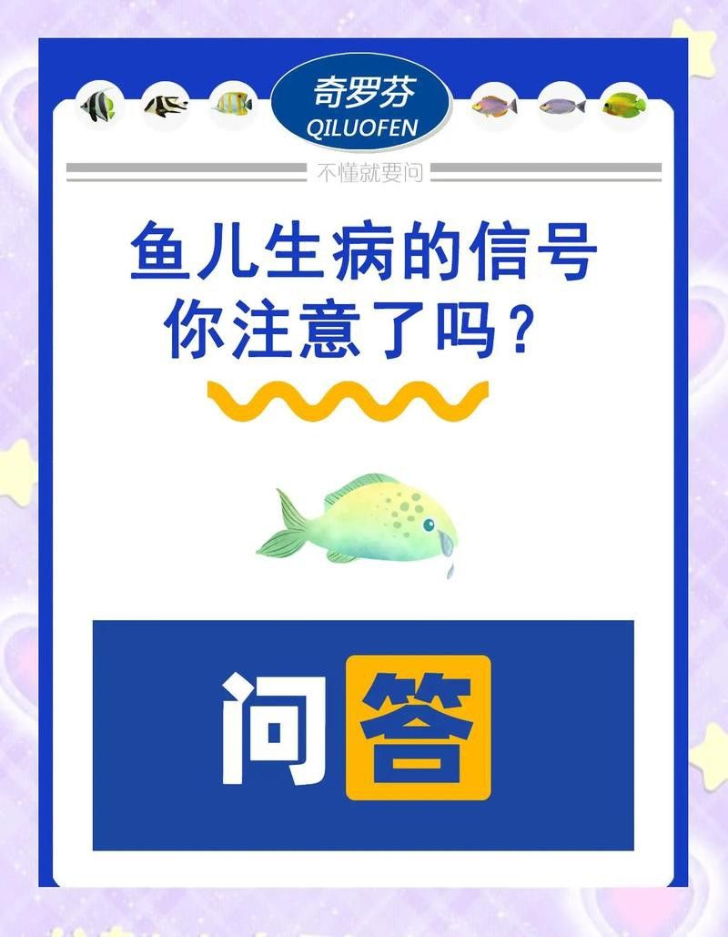 如何判斷小火龍魚是否生??？