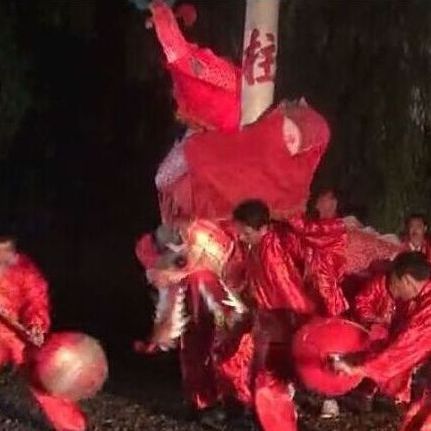 紅龍在春節(jié)和婚慶中的具體應用