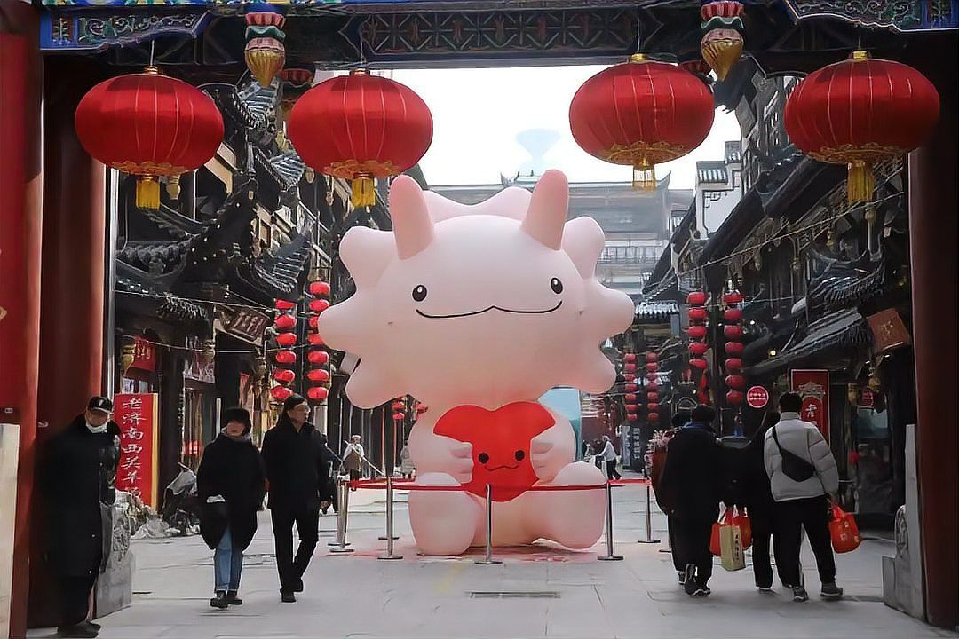 紅龍在春節(jié)和婚慶中的具體應用